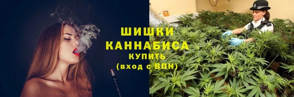 индика Заводоуковск