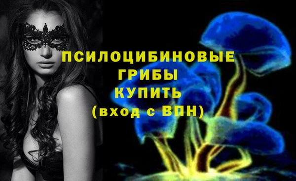 альфа пвп Нязепетровск