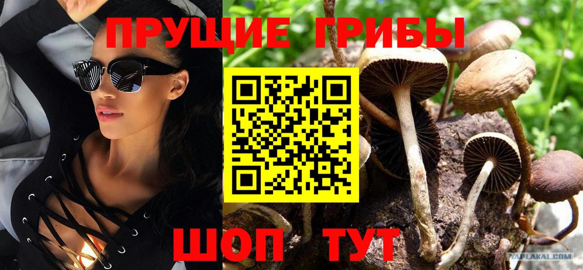 купить  цена  Галлюциногенные грибы ЛСД  Вход с VPN  Кыштым 