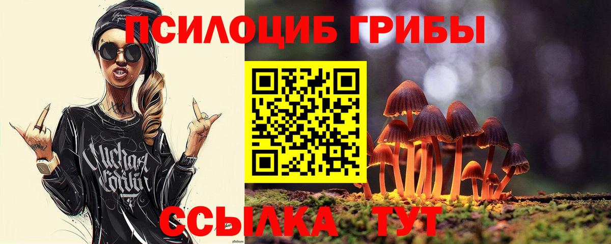 Галлюциногенные грибы Psilocybine cubensis Кыштым
