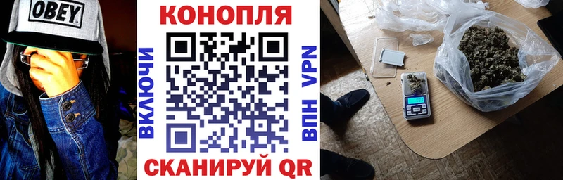Бошки марихуана OG Kush  darknet какой сайт  Кыштым 